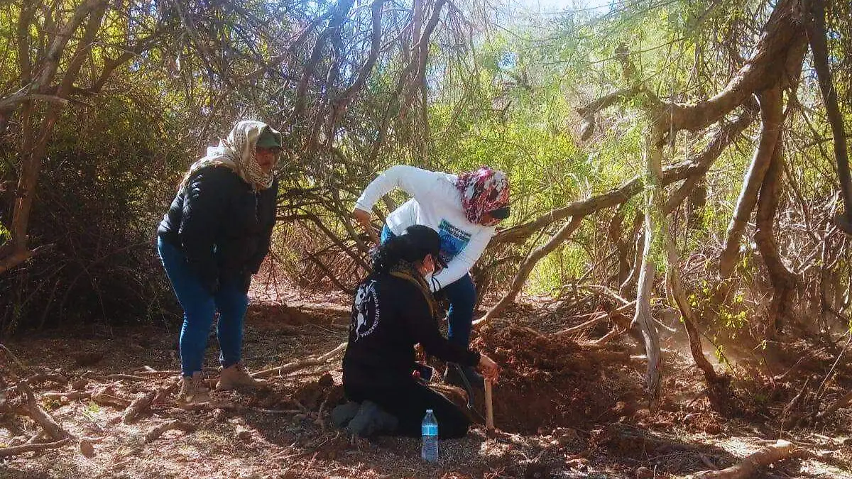 Madres Buscadoras por la Paz